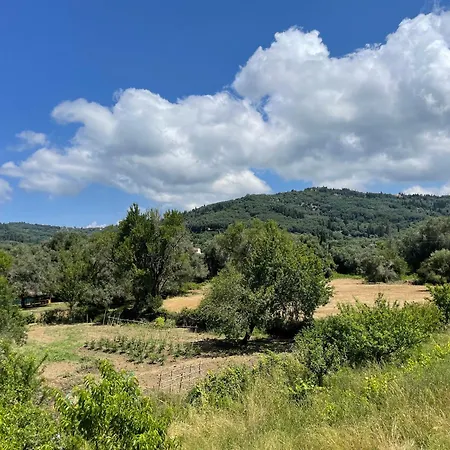 Katerina Lejlighed Agios Georgios Pagon